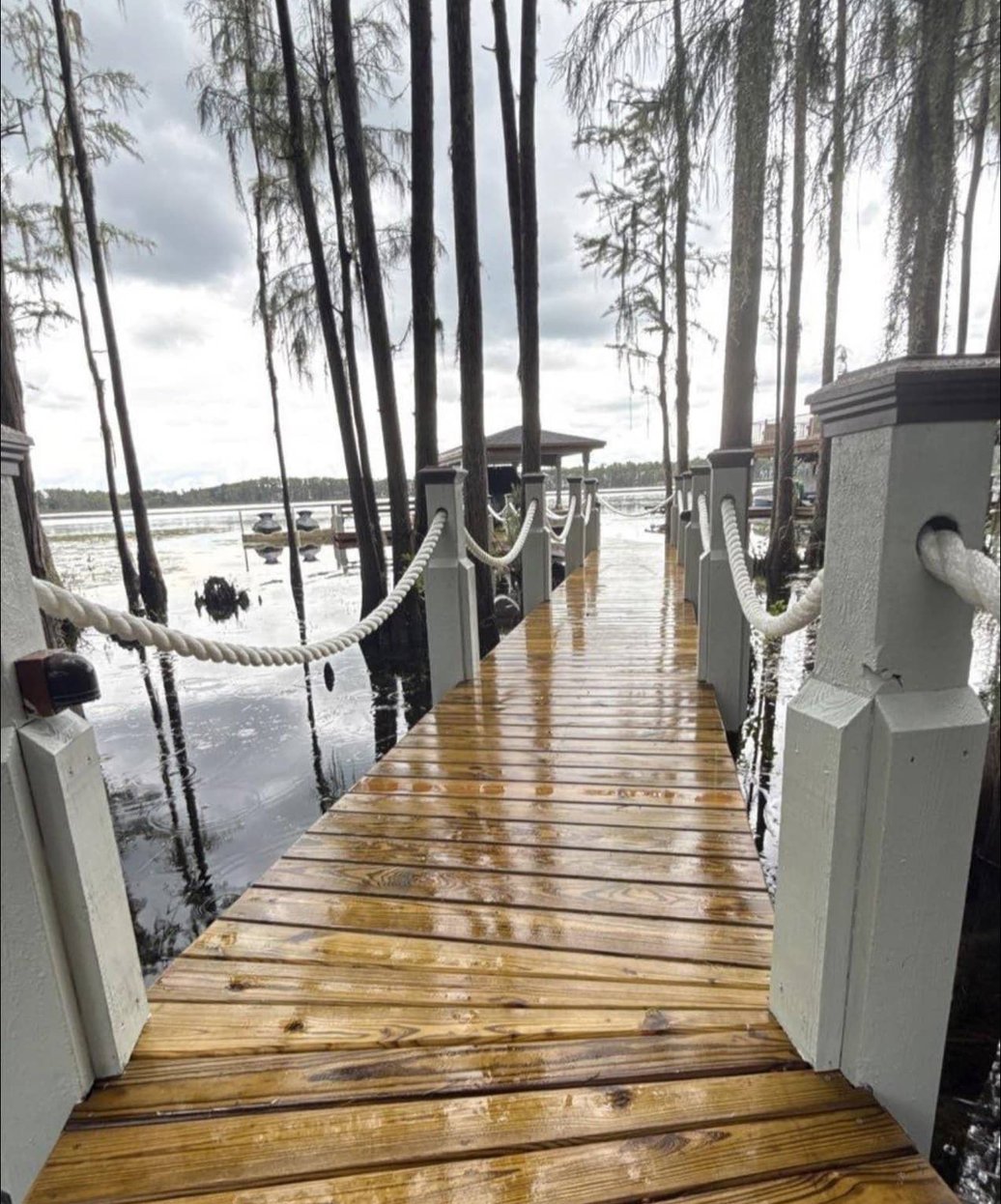 Wooden boardwalk over marshy shoreline
