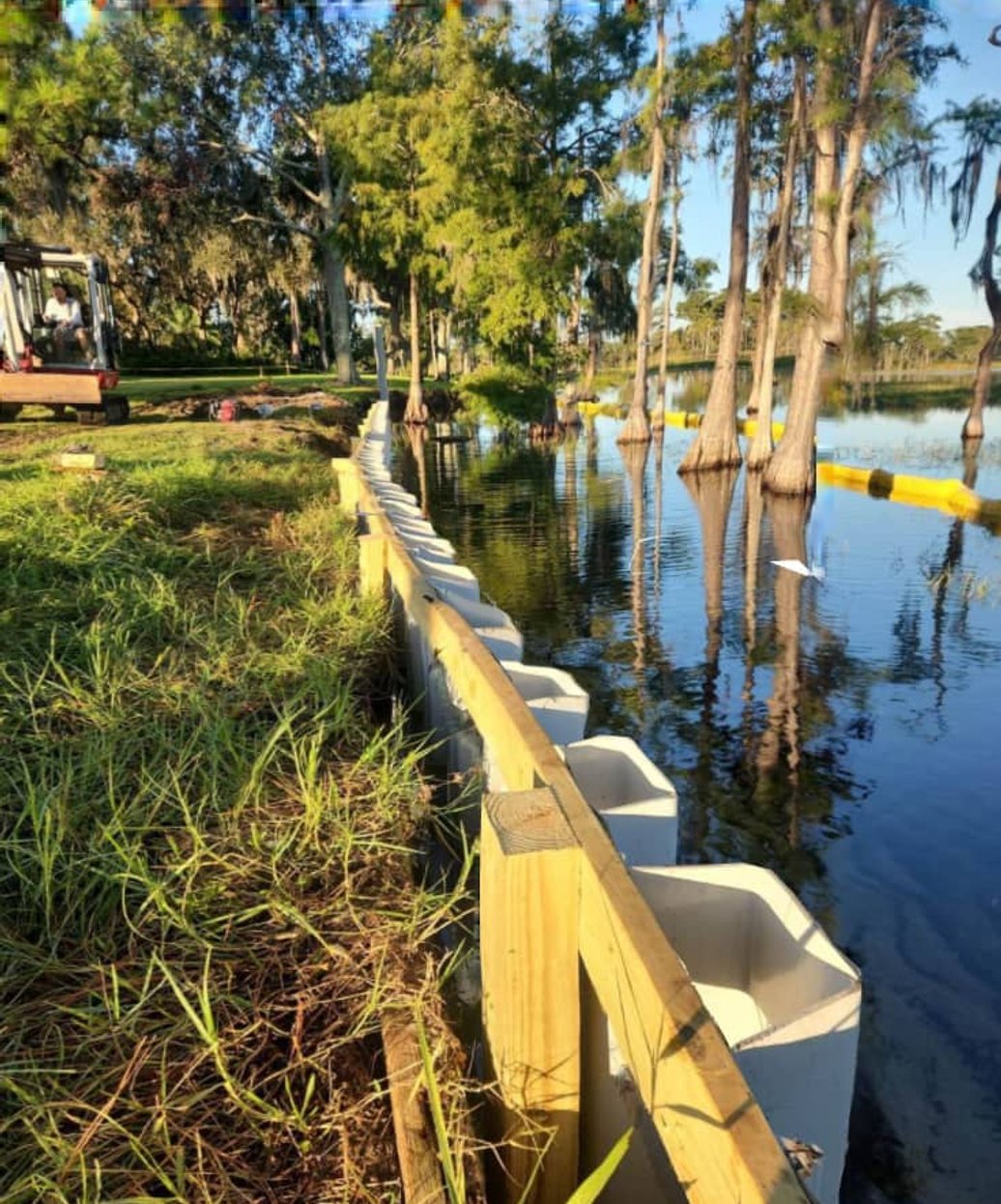 Elevated dock walkway through coastal trees